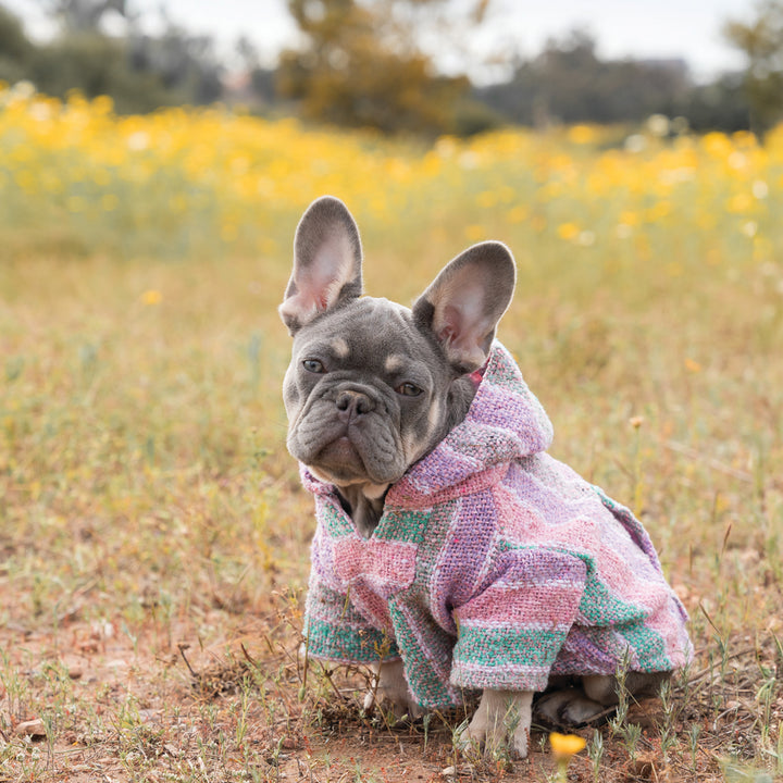 Playa Poncho - Surprise Color