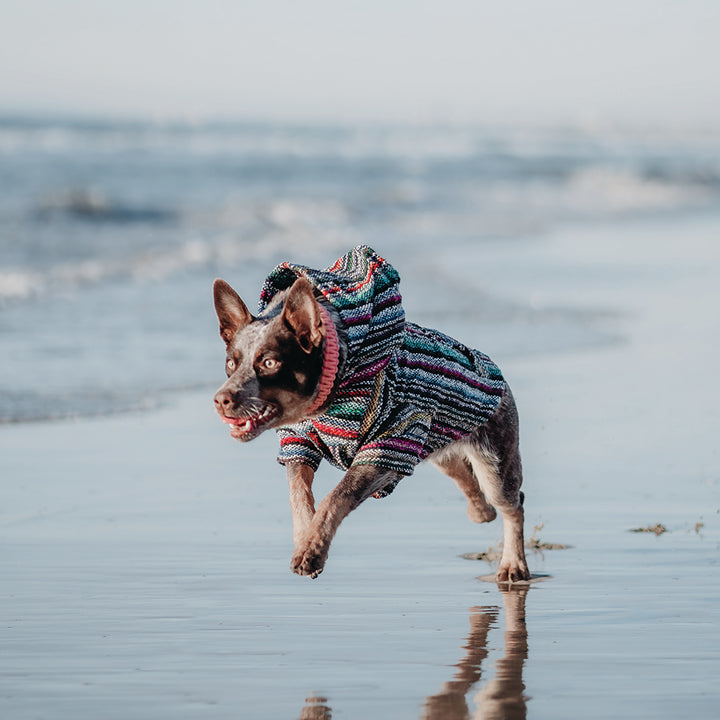 Playa Poncho - Surprise Color