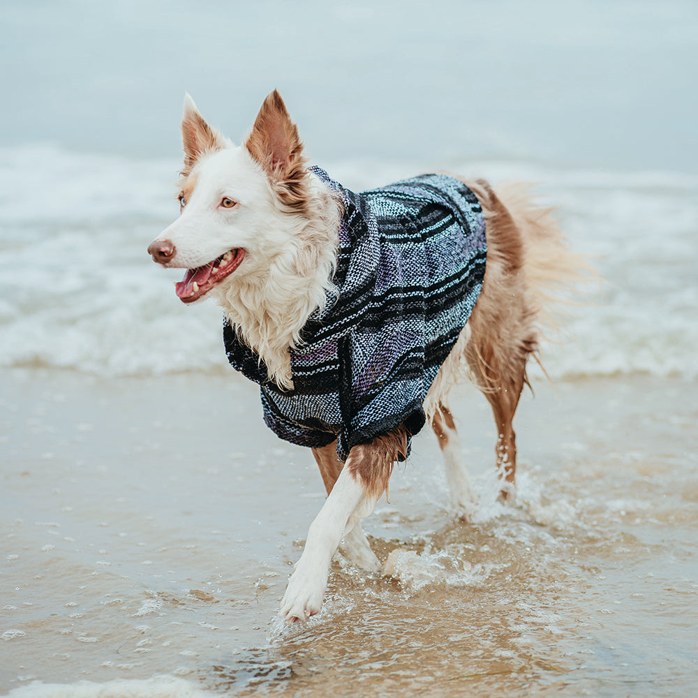 Playa Poncho - Surprise Color