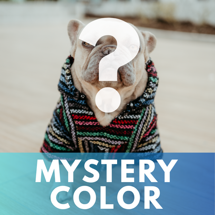 Playa Poncho – Mystery Color (Bella, Charlie, or Fun Edition)