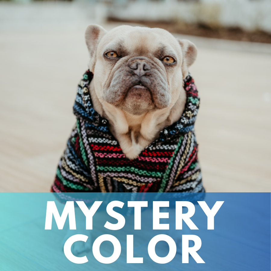light frenchie dog wearing a mexican baja hoodie 