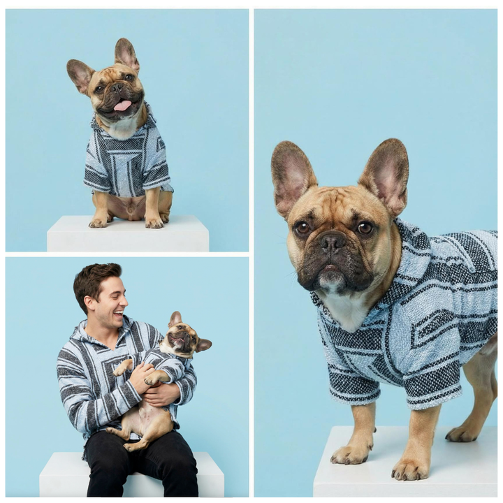 Playa Poncho –  Blue Anchovy (For People)