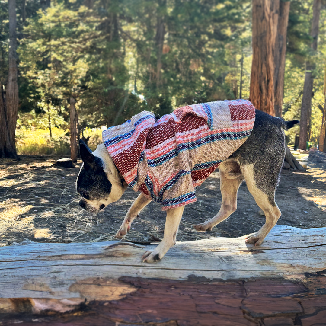 Playa Poncho – Salmon